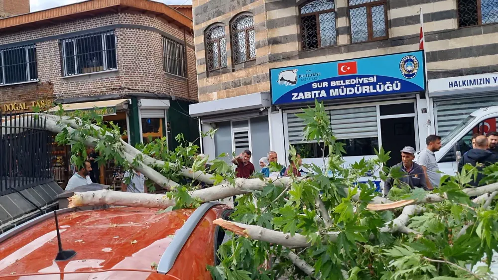 Diyarbakır